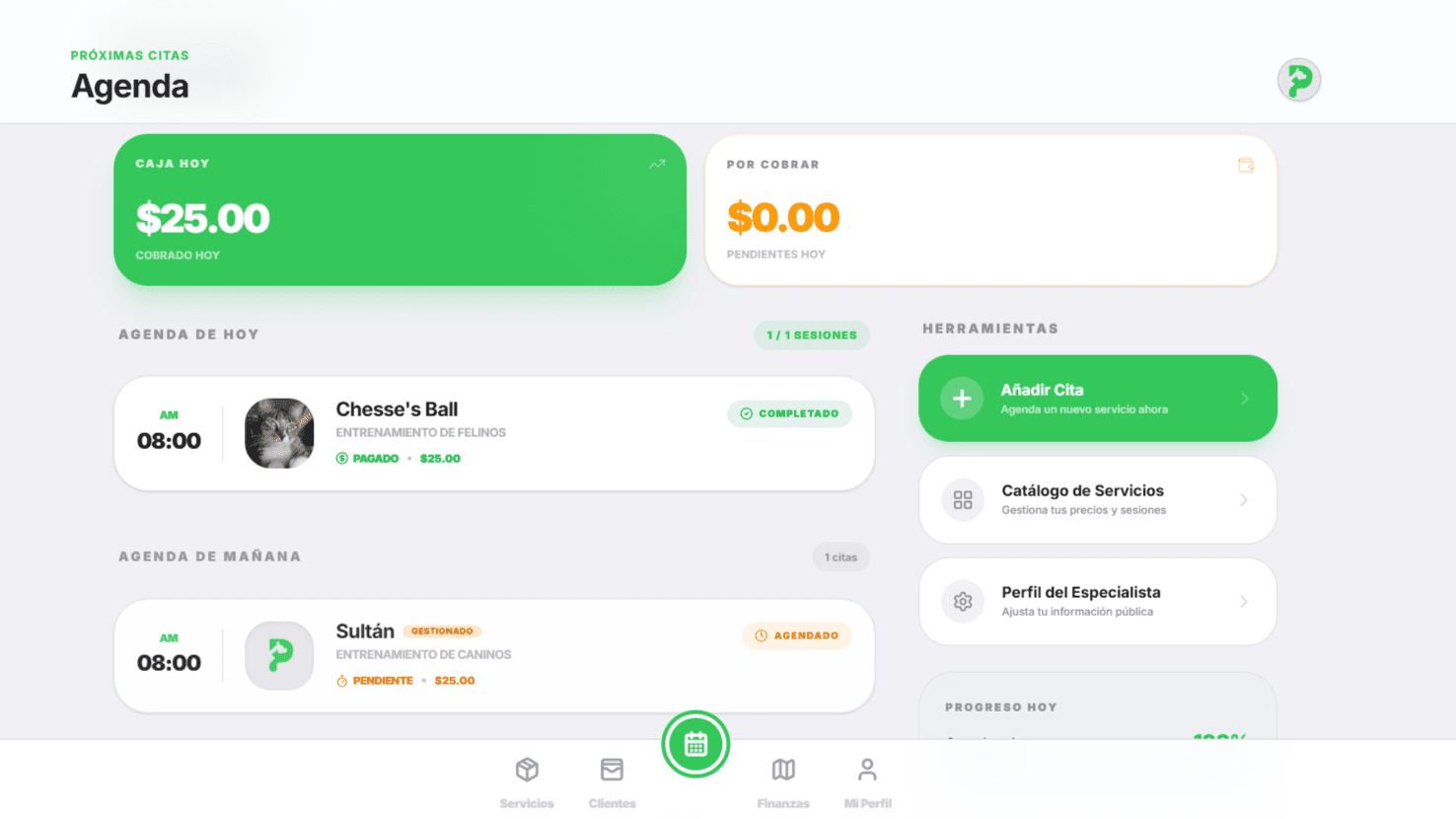 iPetly Dashboard Preview